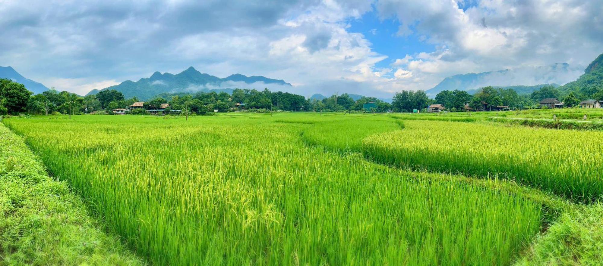 Mai Chau Sky Resort Екстериор снимка