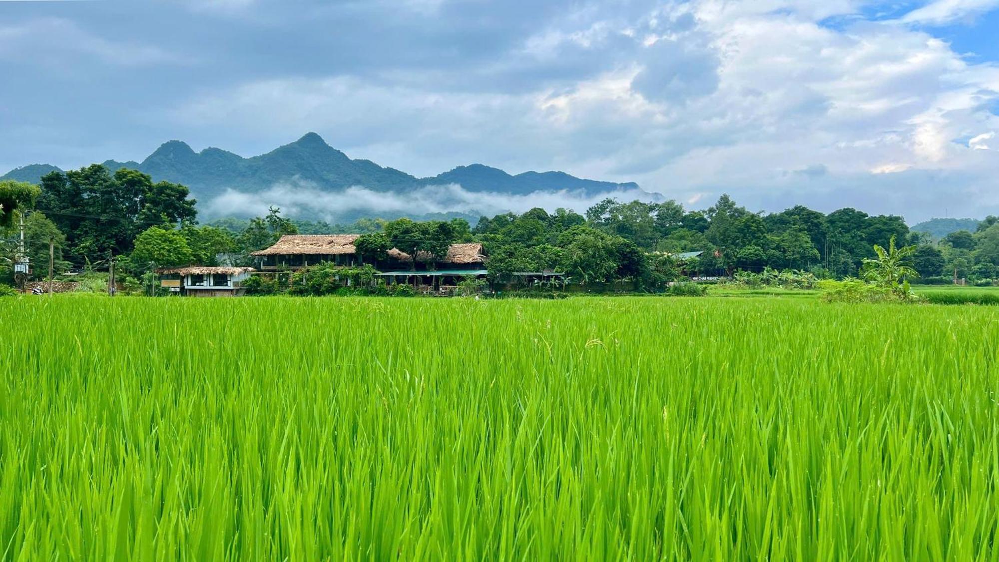 Mai Chau Sky Resort Екстериор снимка